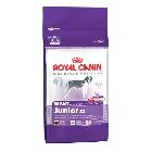 Royal Canin Giant Junior karma dla psów mlodych