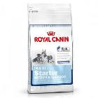 ROYAL CANIN Maxi Starter Mother & Babydog