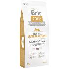 Brit Care Grain-Free Senior-Light Salmon&Potato bezzbożowa karma dla psów starszych op.1kg-12kg