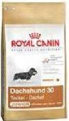 Royal Canin Dachshund Junior karma dla szczeniąt rasy jamnik 1,5kg