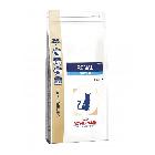 ROYAL CANIN Vet Diet Cat Renal opak. 0.5/2/4kg