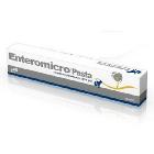 GEULINCX ICF ENTEROMICRO Pasta 15ml