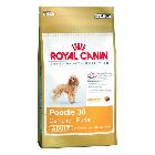 Royal Canin Poodle Adult 30