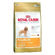 Royal Canin Poodle Adult 30