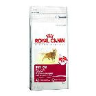 Royal Canin Fit 32 karma dla kotów