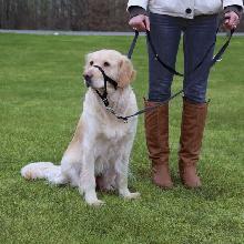 Trixie Uprząż treningowa Top Trainer - różne rozmiary