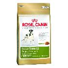 Royal Canin Great Dane Adult 23