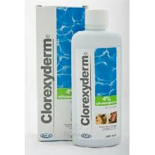 GEULINCX ICF Clorexyderm Shampoo 4% skoncentrowany szampon do pielęgnacji skóry 100/250ml