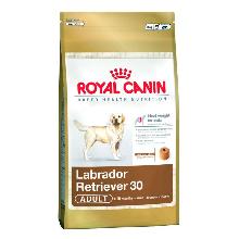 Royal Canin Labrador Retriever Adult 30