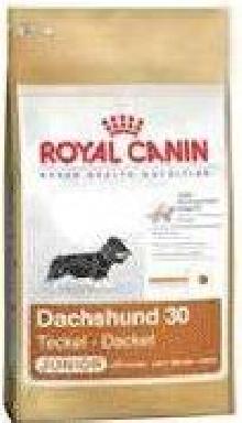 Royal Canin Dachshund Junior karma dla szczeniąt rasy jamnik 1,5kg
