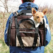 TRIXIE plecak SHIVA dla psa lub kota 