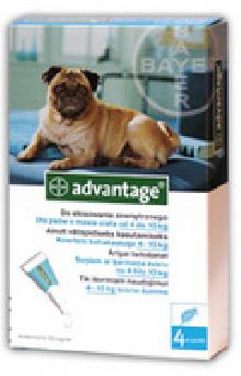 Bayer Advantage 100 dla psów, roztwór do nakrapiania na pchły