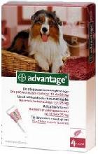 Bayer Advantage 250 dla psów, roztwór do nakrapiania na pchły
