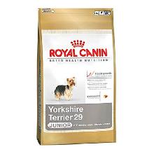 Royal Canin Yorkshire Terrier Junior 29