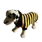 AMI PLAY Sweter dla psa Paski Żółto-Czarne rozmiary 1-6