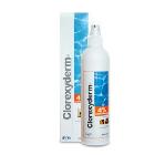 GEULINCX ICF Clorexyderm Foam Spray 4% pianka bakterio- i grzybobójcza 100ml