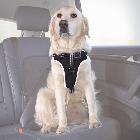 TRIXIE szelki bezpieczeństwa do samochodu dla psa - różne rozmiary