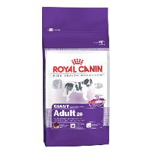 Royal Canin Giant Adult 28 karma dla psów dorosłych