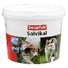 BEAPHAR Salvikal Preparat witaminowo-mineralny z drożdżami 250g