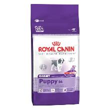 Royal Canin Giant Puppy karma dla szczeniąt