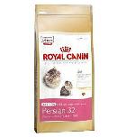 Royal Canin Kitten Persian 32 karma dla kociąt