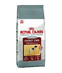 Royal Canin Energy 4800 karma dla psów aktywnych