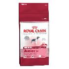Royal Canin Medium Junior 32 karma dla szczeniąt