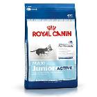 Royal Canin Maxi Junior Active karma dla szczeniąt
