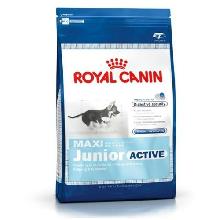 Royal Canin Maxi Junior Active karma dla szczeniąt